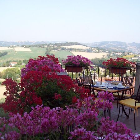 Bed and Breakfast La Terrazza Fio...Rita Ripa Exterior foto